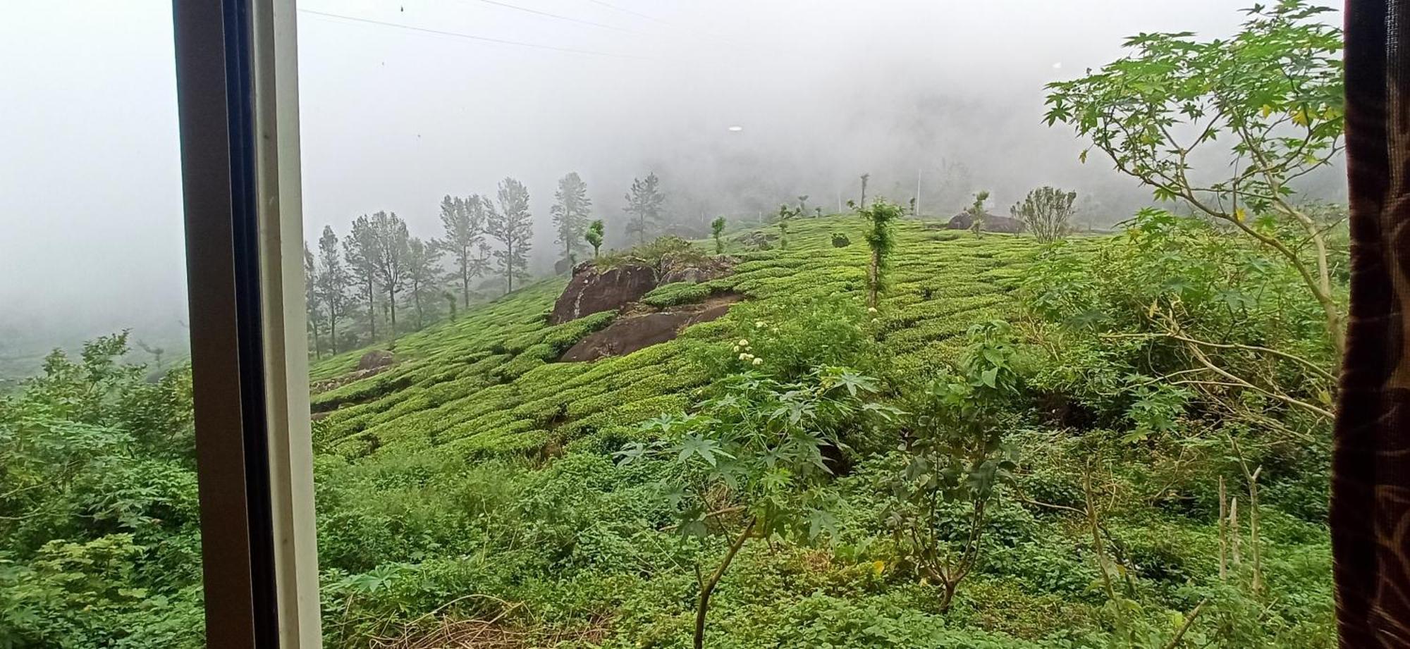 מונאר Tea Dale - All Rooms With Tea Estate View מראה חיצוני תמונה