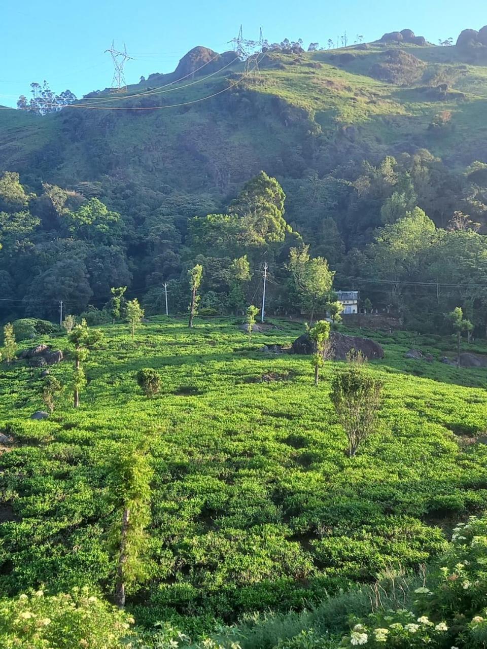 מונאר Tea Dale - All Rooms With Tea Estate View חדר תמונה