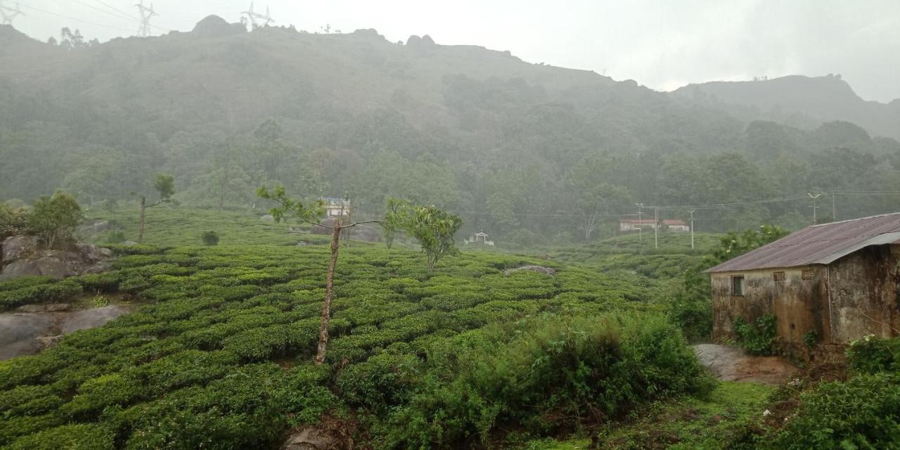 מונאר Tea Dale - All Rooms With Tea Estate View מראה חיצוני תמונה