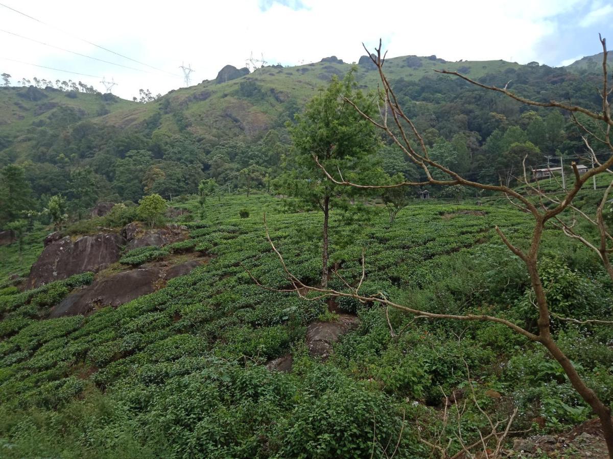 מונאר Tea Dale - All Rooms With Tea Estate View מראה חיצוני תמונה
